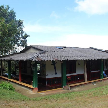 Alojamiento Rural Café Yarumo Buenavista  Extérieur photo