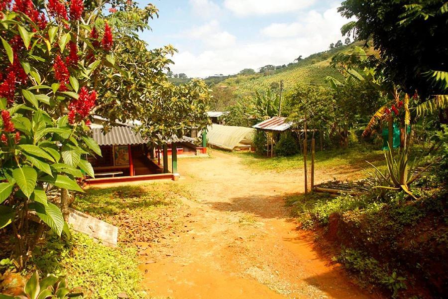 Alojamiento Rural Café Yarumo Buenavista  Extérieur photo