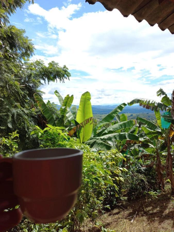 Alojamiento Rural Café Yarumo Buenavista  Extérieur photo