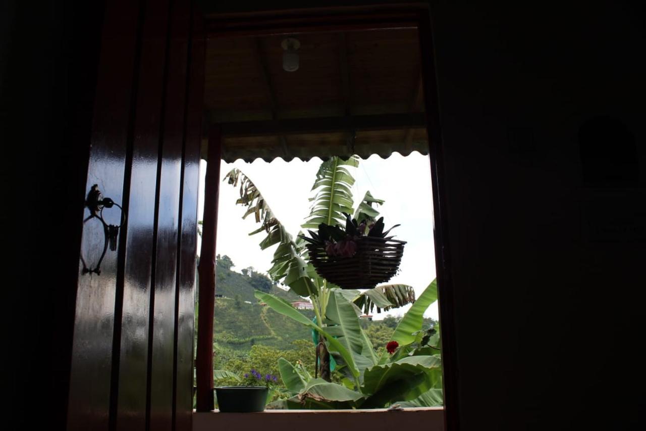 Alojamiento Rural Café Yarumo Buenavista  Extérieur photo