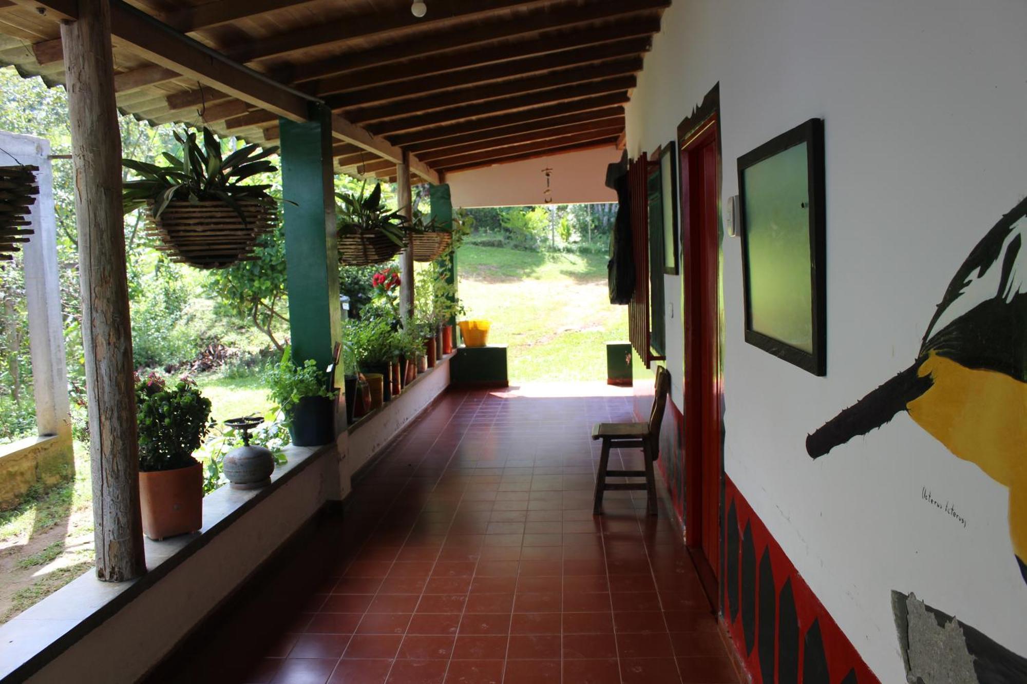 Alojamiento Rural Café Yarumo Buenavista  Extérieur photo